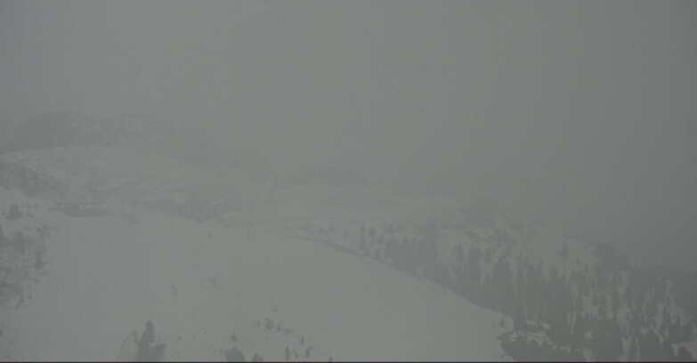 Webcam Pampeago  - Predazzo -  Obereggen - Monte Agnello Sessellifte