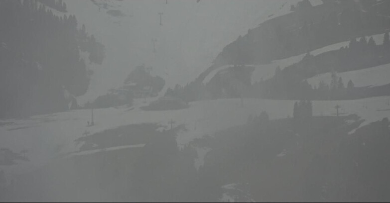 Webcam Pampeago  - Predazzo -  Obereggen - Mountain hut Latemar