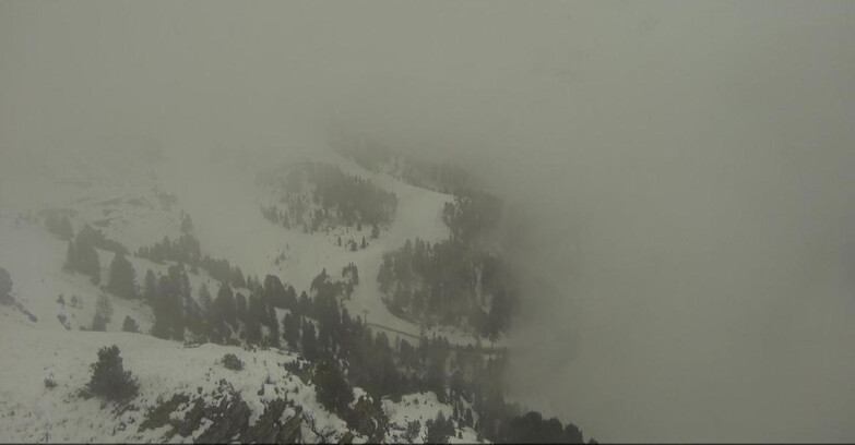 Webcam Pampeago  - Predazzo -  Obereggen - Pista Agnello