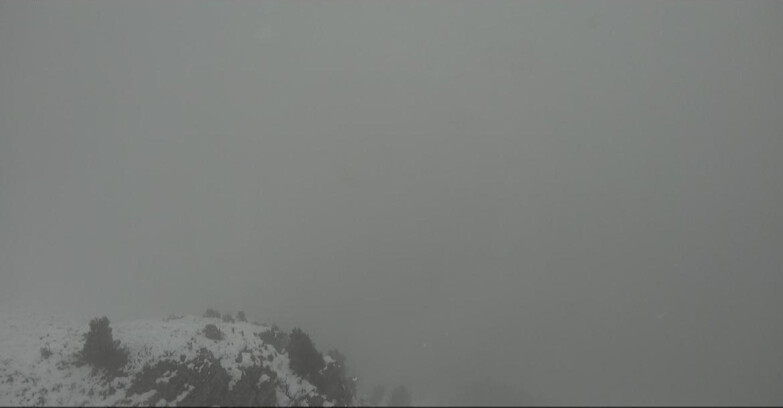 Webcam Pampeago  - Predazzo -  Obereggen - Pista Agnello