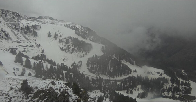 Webcam Pampeago  - Predazzo -  Obereggen - Pista Agnello