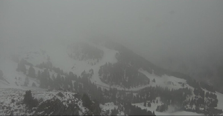 Webcam Pampeago  - Predazzo -  Obereggen - Pista Agnello