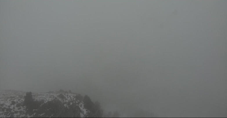 Webcam Pampeago  - Predazzo -  Obereggen - Pista Agnello