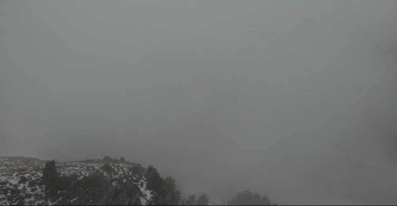 Webcam Pampeago  - Predazzo -  Obereggen - Pista Agnello