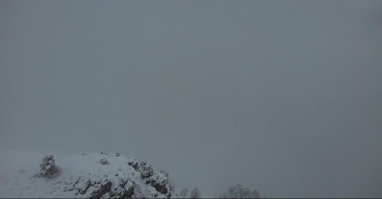 Webcam Pampeago  - Predazzo -  Obereggen - Pista Agnello