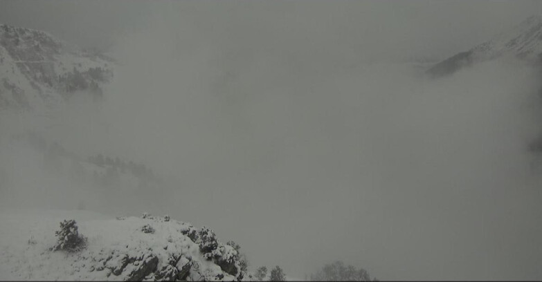 Webcam Pampeago  - Predazzo -  Obereggen - Pista Agnello