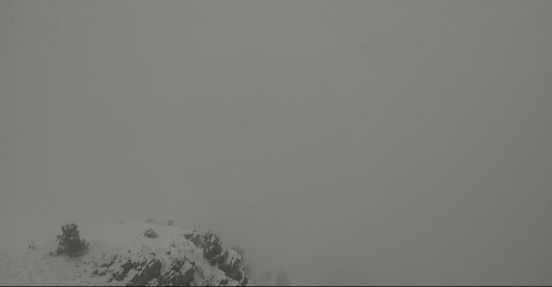 Webcam Pampeago  - Predazzo -  Obereggen - Pista Agnello