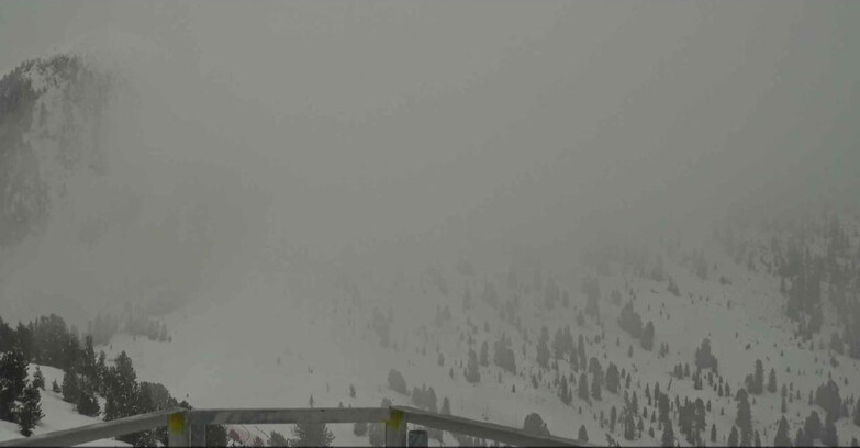 Webcam Alpe Cermis  - Prà Fiorì Val di Fiemme