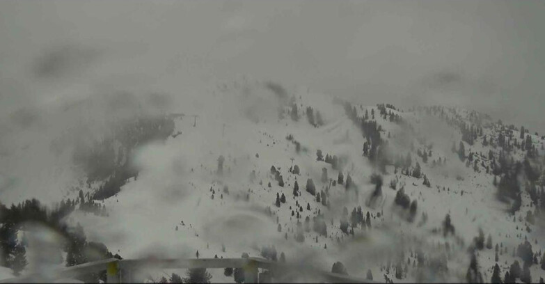 Webcam Alpe Cermis  - Prà Fiorì Val di Fiemme
