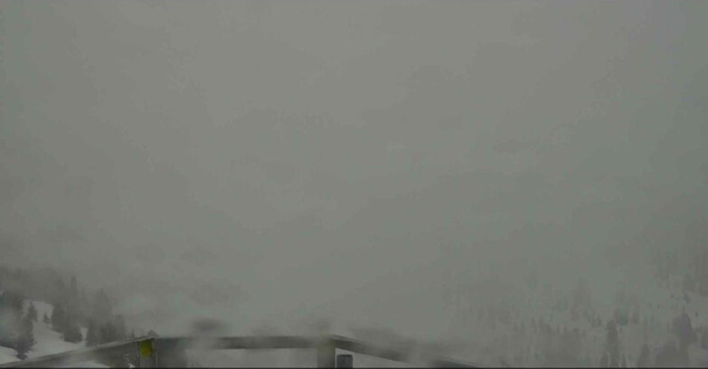 Webcam Alpe Cermis  - Prà Fiorì Val di Fiemme