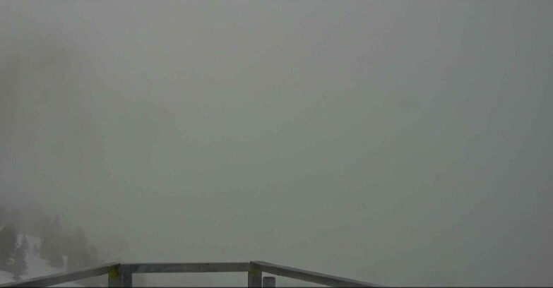 Webcam Alpe Cermis  - Prà Fiorì Val di Fiemme