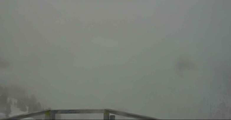 Webcam Alpe Cermis  - Prà Fiorì Val di Fiemme