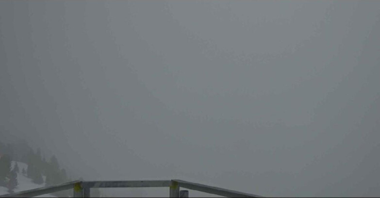 Webcam Alpe Cermis  - Prà Fiorì Val di Fiemme