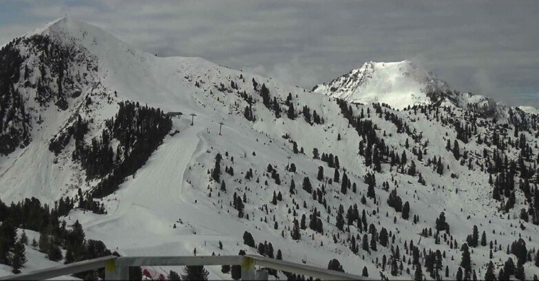 Webcam Alpe Cermis  - Prà Fiorì Val di Fiemme