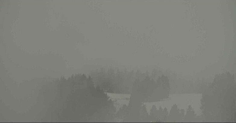 Webcam Alpe Cermis - Lagorai Sesselbahn