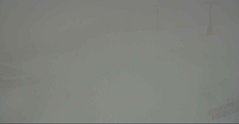 Webcam Alpe Cermis - Sesselbahn und Piste Lagorai