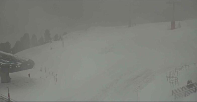 Webcam Alpe Cermis - Sesselbahn und Piste Lagorai