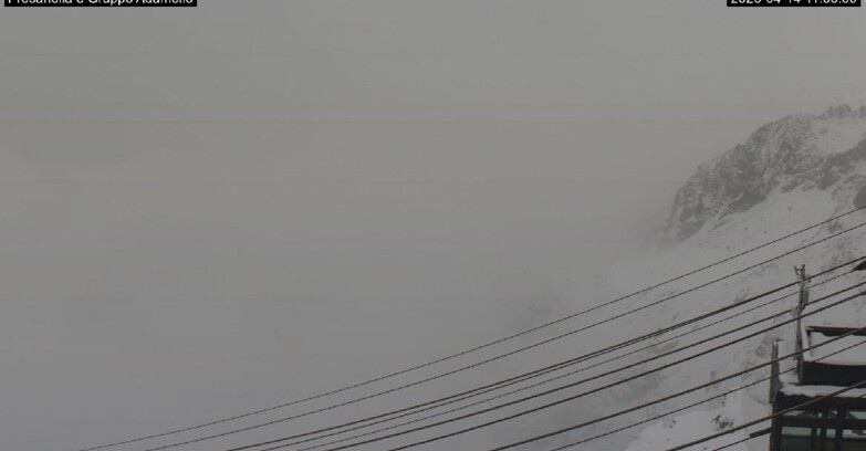 Webcam Pejo 3000 - Pejo -Presanella e Gruppo Adamello