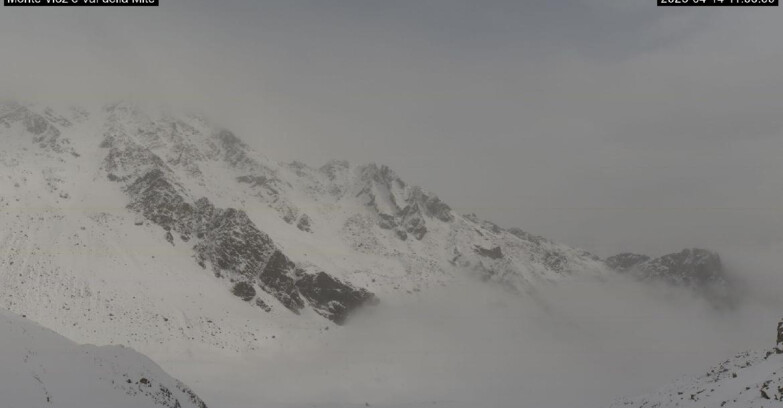 Webcam Pejo 3000 - Val della Mite