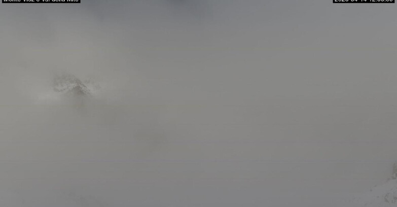 Webcam Pejo 3000 - Val della Mite