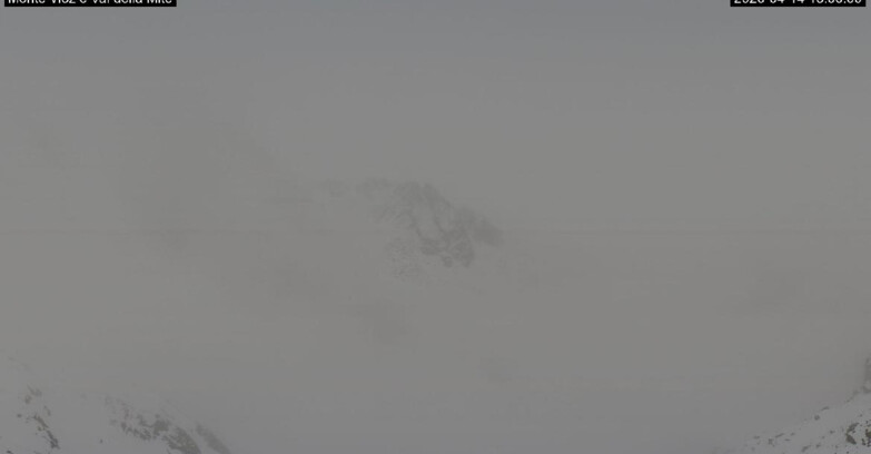 Webcam Pejo 3000 - Val della Mite