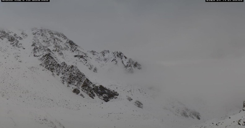 Webcam Pejo 3000 - Val della Mite