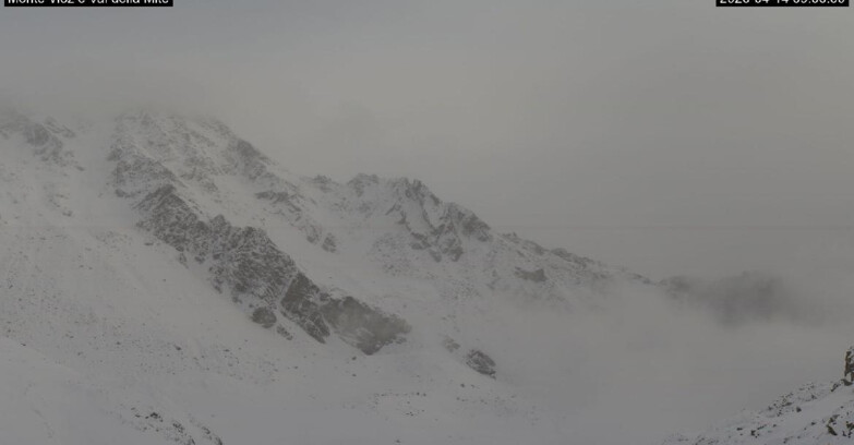 Webcam Pejo 3000 - Val della Mite