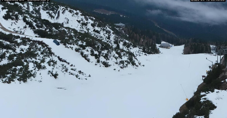 Webcam Paganella Ski – Andalo – Fai della Paganella - Pista Olimpionica 3