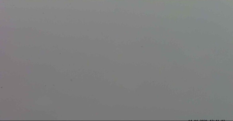 Webcam Passo San Pellegrino-Falcade - Marmolada