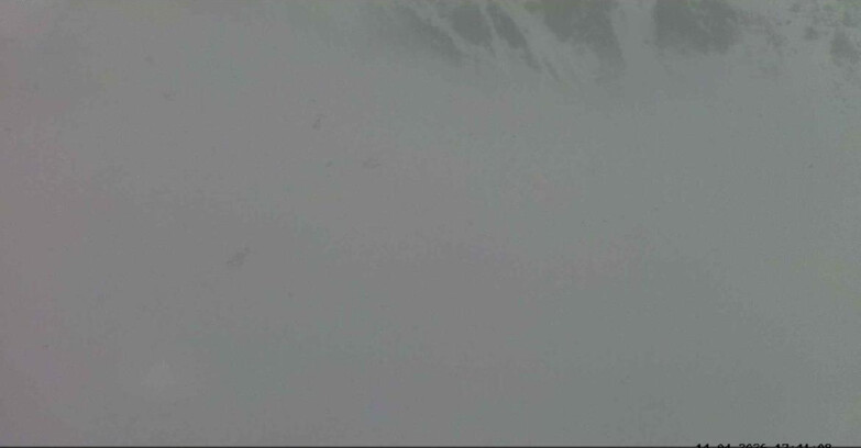 Webcam Пассо Сан-Пеллегрино-Фалькаде  - Seggiovia Cima Uomo