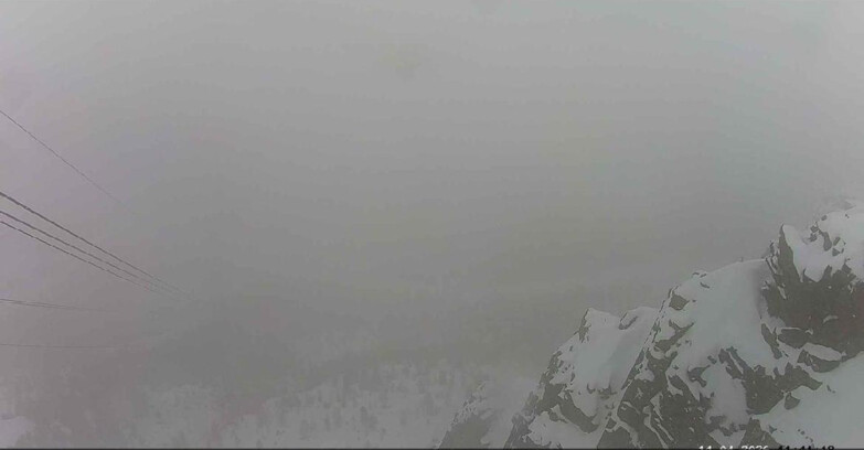 Webcam Passo San Pellegrino-Falcade - Pista Funivia