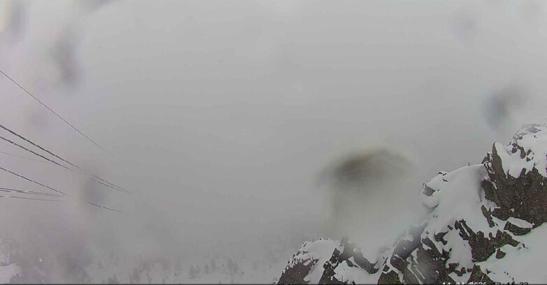 Webcam Passo San Pellegrino-Falcade - Pista Funivia