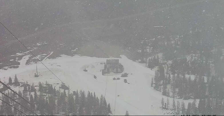 Webcam Passo San Pellegrino-Falcade - Arrivo Seggiovia