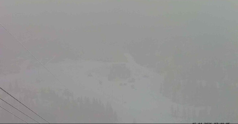 Webcam Passo San Pellegrino-Falcade  - Arrivo Seggiovia