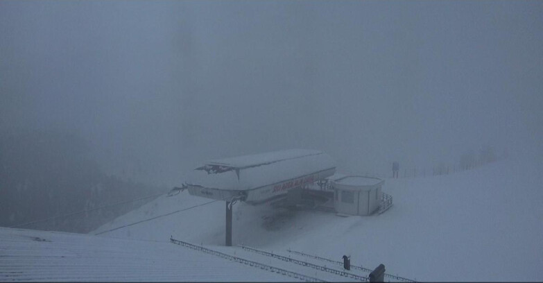 Webcam Moena-Alpe Lusia  - Alpe Lusia - Le cune