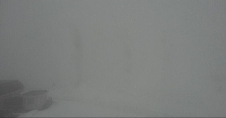 Webcam Moena-Alpe Lusia  - Alpe Lusia - Le cune 2