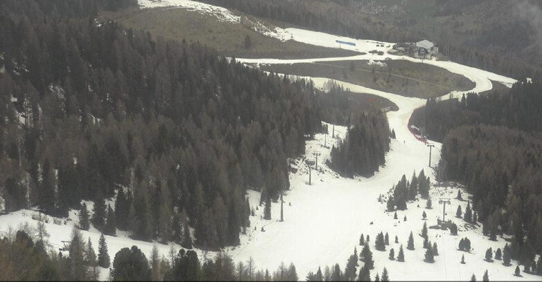 Webcam Moena-Alpe Lusia  - Pivac Piste