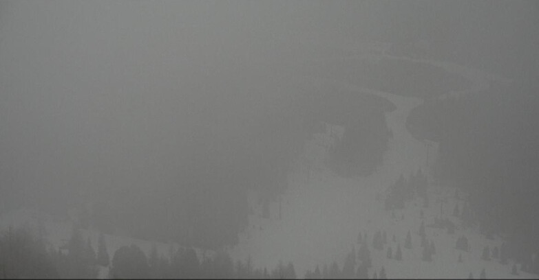 Webcam Moena-Alpe Lusia  - Pivac Piste