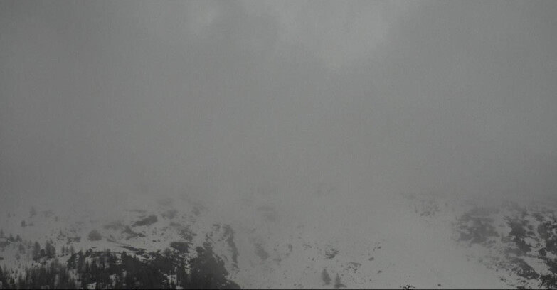 Webcam Moena-Alpe Lusia  - Campo-Laste Skilifte