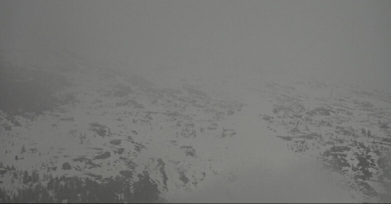 Webcam Moena-Alpe Lusia  - Campo-Laste Skilifte