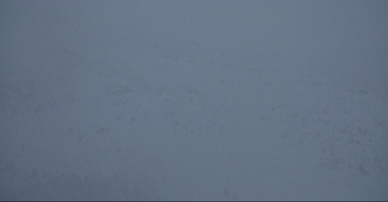 Webcam Moena-Alpe Lusia  - Campo-Laste Skilifte