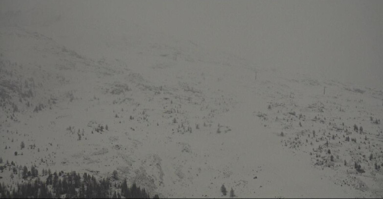 Webcam Moena-Alpe Lusia  - Campo-Laste Skilifte