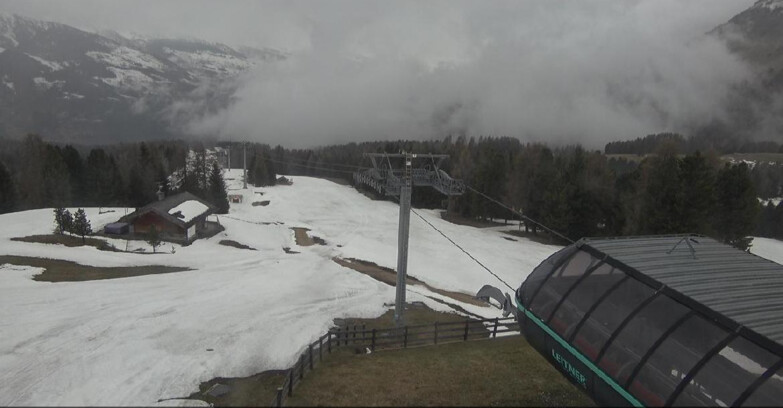 Webcam Bellamonte-Alpe Lusia  - La Morea