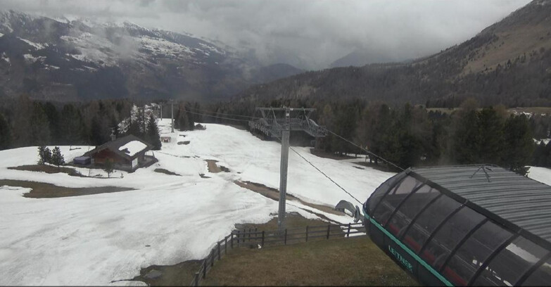 Webcam Bellamonte-Alpe Lusia  - La Morea