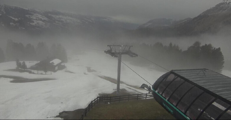 Webcam Bellamonte-Alpe Lusia  - La Morea