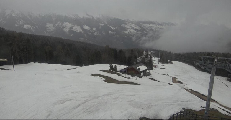 Webcam Bellamonte-Alpe Lusia  - Pista Le Fassane e Morea Snowpark