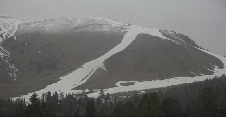 Webcam Bellamonte-Alpe Lusia  - Pista direttissima Le Cune