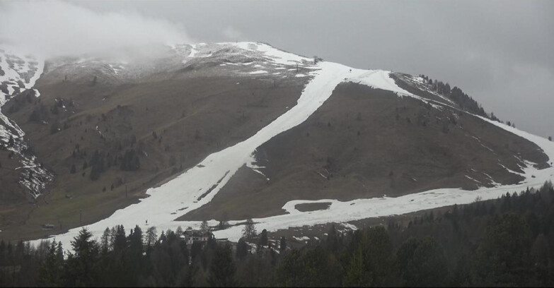 Webcam Bellamonte-Alpe Lusia  - Pista direttissima Le Cune