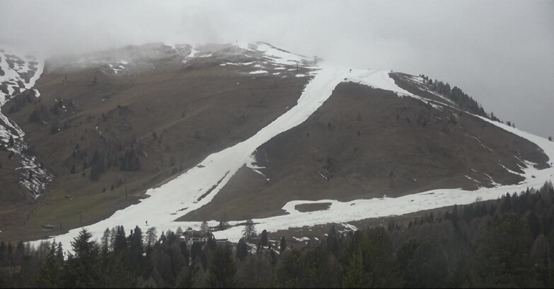 Webcam Bellamonte-Alpe Lusia  - Pista direttissima Le Cune