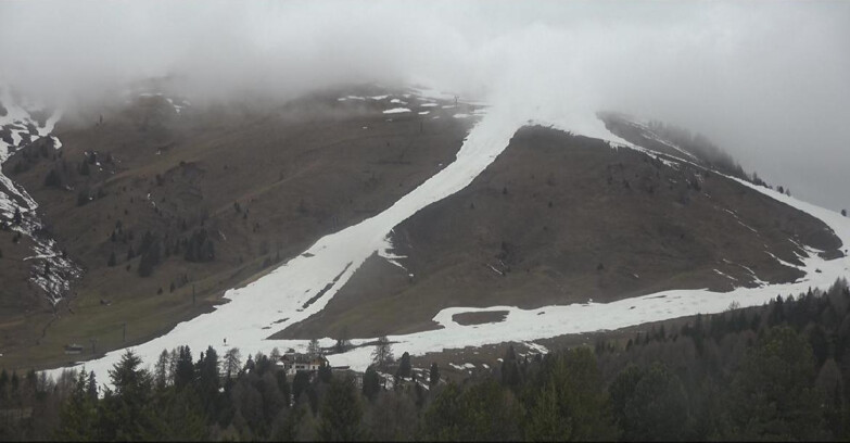 Webcam Bellamonte-Alpe Lusia  - Pista direttissima Le Cune